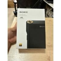ราคา Sony NW-WM1AM2 (128GB) (40113083083)