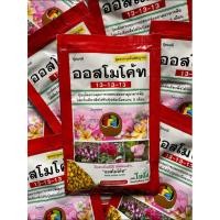 ราคา ออสโมโค้ท 13-13-13 (100 กรัม) ปุ๋ย ปุ๋ยออสโมโค้ท (43057158384)