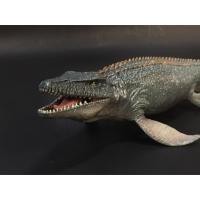 ราคา โมเดล ไดโนเสาร์ MODEL MOSASAURUS สกุลโมซาซอรัส (ไดโนเสาร์น้ำ) (9822828966)