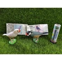 ราคา Gachapon กาชาปองนกกระจอกชวา Kaiyodo โมเดลสัตว์ (12102439717)