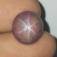 ราคา พลอย ทับทิม สตาร์ หลังเบี้ย ธรรมชาติ แท้ ( Natural Star Ruby ) หนัก 21.05 กะรัต (4256283504)