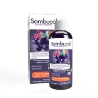 ราคา Sambucol Mini's Liquid Black Elderberry ฉลากไทย 120mL วิตามินน้ำต้านหวัดเด็ก (28206333465)