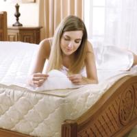 ราคา พร้อมส่ง Jessica Quilted Mattress Pad เจสสิก้า ผ้ารองกันเปื้อน รองที่นอน (1795240536)