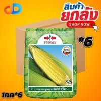 ราคา (ยกลัง 6 กก) ข้าวโพด หวานลูกผสม จัมโบ้ สวีท F1 ตราศรแดง ขนาด 1 กก.ข้าวโพดหวาน เมล็ดสีเหลืองสด รสชาติหวาน อร่อย ฝักใหญ่ (44412226793)