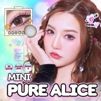 ราคา คอนแทคเลนส์ สุดปัง✨ขนาดบิ๊กอาย✨Brown/Gray✨ Pure alice (Shinee) (42601534343)