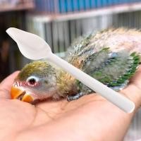 ราคา อัลสัน1เครื่องป้อนนมผงนก,ช้อนป้อนอาหารนกต่อต้านความร้อนพลาสติก,แบบพกพาด้ามยาวหนาอาหารนกช้อนน้ําสําหรับนกแก้วค็อกคาเทล (44119207225)