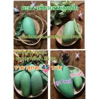ราคา ผลไม้ปลอม มะม่วงเขียวเสวย ลูกเล็ก (ราคาต่อ1 ลูก) (6415419376)