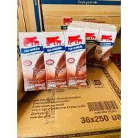 ราคา นมวัวแดงไทยเดนมาร์ครสช็อคโกแลต 250ml. ยกลังสุดคุ้ม 270 บาท (10791853231)