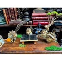 ราคา ️ ขาย Taxidermy Chipmunk – ชิปมังค์ตีปิงปองสุดน่ารัก พร้อมกรรมการ! ✨ (24446022116)