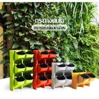 ราคา !!!โปรโมชั่นพิเศษสำหรับเดือนนี้ กระถางต้นไม้แบบแขวนผนัง กระถางต้นไม้แบบแขวน กระถางต้นไม้ติดผนัง ด่วน!!! จำนวนจำกัด (10912234165)