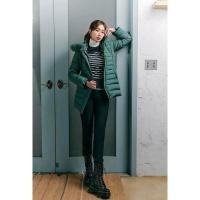 ราคา เหลือ 50% Crocodile Jackets Made in Korea (26091187105)