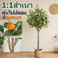 ราคา คุณภาพสูงต้นส้มประดิษฐ์ ต้นไม้ปลอม ต้นไม้มงคล ความจำลอง99% พร้อมส่งจากไทย (29441197471)