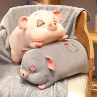 ราคา หมอนผ้าห่ม น้องหมู ตุ๊กตาผ้าห่ม หมู (13164283485)
