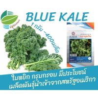ราคา ผักเคล คะน้าใบหยิก (Blue Kale)​ ~400เมล็ด นำเข้าจากสหรัฐ​อเมริกา​ (4054053065)
