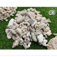 ราคา หินทะเลตกแต่งตู้ปลาทะเล (20388923425)