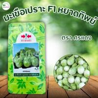 ราคา เมล็ดมะเขือเปราะลูกผสม หยาดทิพย์ F1 ตราศรแดง ขนาด 20 กรัม (27618911640)