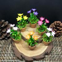 ราคา [พร้อมกระถาง] ดอกบัวดินจิ๋ว ดอกบัวดินดินปั้นจิ๋ว ดอกบัวดิน บัวดิน #ของจิ๋ว #miniature (28329078859)