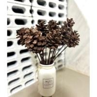 ราคา ช่อ ลูกสน ดอกใหญ่ ช่อดอกสน ลูกสน ธรรมชาติ ช่อดอกลูกสน มินิมอล ลูกสนแห้งเทียม ของ DIYอกไม้ปลอม ตกแต่งห้อง อุปกรณ์ตกแต่ง (21875202470)