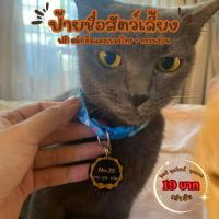ราคา ป้ายชื่อสัตว์เลี้ยง สลักชื่อและเบอร์โทรฟรี (26907609215)