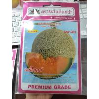 ราคา เมล่อน เลดี้โกลด์ 12เมล็ด ตะวันต้นกล้า (6535813817)