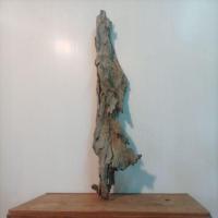 ราคา drift wood ตอไม้เก่าแต่งสวน (25255955465)
