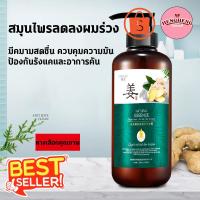 ราคา เฮงโยสติง 500MLแชมพูขิง แชมพูแก้ผมร่วง แชมพูปลูกผมดก แชมพูขิงเพียว แชมพูสมุนไพร สระผมแก้ผมร่วงสูตรแก้ปัญหาผมร่วง ผมบาง ป (27073923492)