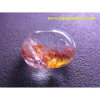 ราคา โป่งข่าม แก้วกาบเงินทอง (1472767917)