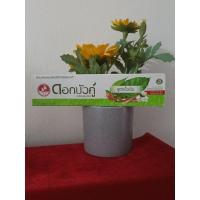 ราคา ยาสีฟัน ดอกบัวคู่ สูตรดั้งเดิม 1 หลอด 180 กรัม ในกล่อง (28585783405)