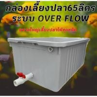 ราคา อ่างเลี้ยงปลา 65 ลิตร overflow 64x44x31ซ. (กล่องสีขาวครีม) ระบบวาวล์ปิดเปิดน้ำได้ กะบะเลี้ยงปลา อ่างเลี้ยงปลา อ่างสวยๆ (42507791859)