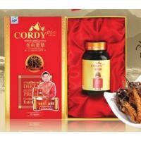 ราคา ถั่งเช่า อ.วิโรจน์ Cordy Plus ของแท้ล๊อตใหม่ส่งตรงจากบริษัท คอร์ดี้ พลัส ถั่งเช่า อ.วิโรจน์ ของแถมคุ้มมาก ของแท้พร้อมส่ง (13128224170)