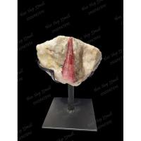 ราคา อัญมณี Pink Tourmaline ทัวร์มาลีนสีชมพู มีขาตั้ง (4342267833)