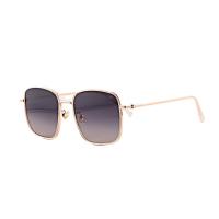 ราคา ฟรีเลนส์มูลค่า 1,500.- | WIZ แว่นตากันแดด รุ่น P28226/C15/55 (29387074758)