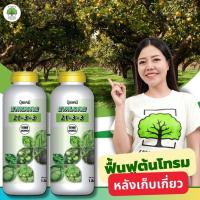 ราคา ปุ๋ยน้ำสูตร 21-3-3 ( 2 ขวด ) ตราเทพมงคล เร่งดอก เร่งใบ เร่งโต ฟื้นฟูต้นโทรม #สูตรปุ๋ยเร่งต้นไม้ให้โตเร็ว (27511746557)