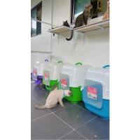 ราคา ห้องน้ำแมว JUMBO ทรงสูง เหมาะกับแมวตัวใหญ่ Cat Litter box size 62X52X51cm มีของพร้อมส่ง (23902101602)