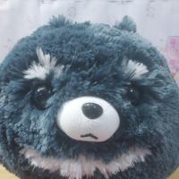 ราคา Amuse Fuwa-mofu Pometan / ตุ๊กตาผ้าพลัฌรูปสุนัขพันธุ์ปอมเมอเรเนียน ของแท้ญี่ปุ่นมือสอง ป้ายห้อย (41356845675)