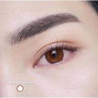 ราคา คอนแทคเลนส์ ✨ขนาดมินิ ✨Brown✨Mini Run (1791372381)