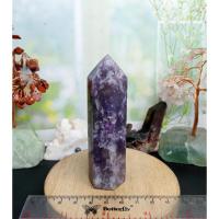 ราคา หอยูนิคอร์นหกเหลี่ยมธรรมชาติ (3) (29637626002)