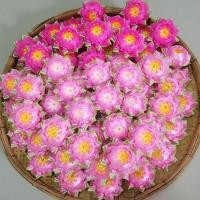 ราคา โปรยทาน ดอกบัวดาว งานตัวเปล่าดอกใหญ่ ขายรวมโทนชมพู(ตัวเปล่า) (18345497890)