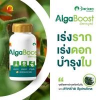 ราคา "AlgaBoost อัลกาบูสต์" เร่งราก เร่งดอก บำรุงใบ จุลชีพสาหร่ายสกัดเข้มข้นจาก "สาหร่าย Spirulina" (29560809616)