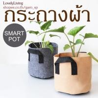 ราคา กระถางผ้าปลูกต้นไม้ smart pot ถุงผ้าปลูกต้นไม้ 1/2/3/5/7 แกลลอน (9355471779)