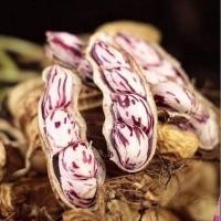 ราคา ถั่วลายเสือคั่วกรอบ ของดีจังหวัดแม่ฮ่องสอน (21594122595)