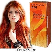 ราคา Berina – A19 สำหรับท่านที่ต้องการเปลี่ยนสีผม (5802952)