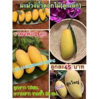 ราคา มะม่วงปลอม ผลไม้ปลอม โมเดลมะม่วงน้ำดอกไม้ปลอม(ลูกเล็ก) ราคาต่อ1 ลูก (6615418183)