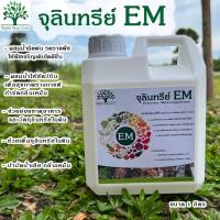 ราคา หัวเชื้อจุลินทรีย์ EM คุณภาพสูง ขนาด 1 ลิตร (19238778795)