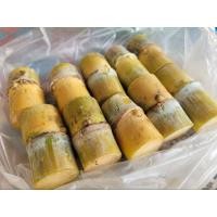 ราคา พันธุ์อ้อยสุพรรณบุรี 50 ชุดละ 20 ข้อตา อ้อยคั้นน้ำ ตาอ้อย พันธุ์อ้อย (22178201839)