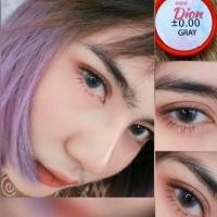 ราคา คอนแทคเลนส์ยี่ห้อ Pitchy lens รุ่น Mini Dior Gray ขนาดเล็ก สไตล์ ธรรมชาติ (2888776128)