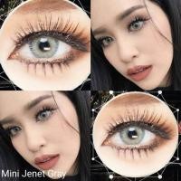 ราคา คอนแทคเลนส์ สายฝอ. รุ่น Mini Jenet สีเทา/ตาล/เขียว Gray/Brown/Green มีค่าสายตาปกติ (0.00) เปลี่ยนแทนทุกเดือน (22183797993)