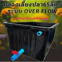 ราคา อ่างเลี้ยงปลา 65 ลิตร overflow 64x44x31ซ. พร้อมระบบวาวล์เปิดปิดน้ำ กะบะเลี้ยงปลา อ่างเลี้ยงปลา อ่างเลี้ยงปลาเมกาดะ (43206604518)