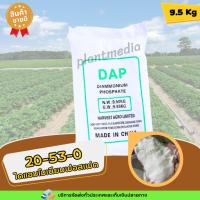 ราคา ปุ๋ย 20-53-0 ไดแอมโมเนียมฟอสเฟต Diammonium Phosphate YVP (DAP) บรรจุ 9.5 กิโลกรัม (25327269702)