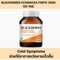 ราคา Blackmores Echinacea Forte 3000mg. 120 Tab. แบลคมอร์ส เอ็กไคนาเซีย ฟอร์ท (29229165745)